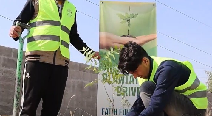 Plantation Drive
